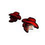Badges for fenders with logo Hellcat Cowboy