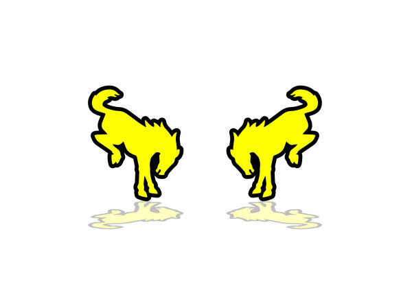 Badges for fenders with logo Bronco (type 2)