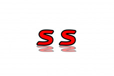 Badges for fenders with logo Infiniti S