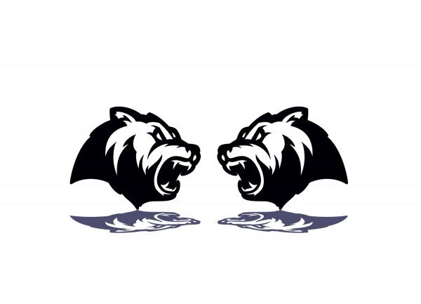 Badges for fenders with logo Bear