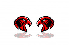 Badges for fenders with logo Hawk