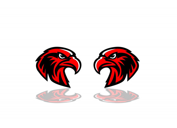 Badges for fenders with logo Hawk