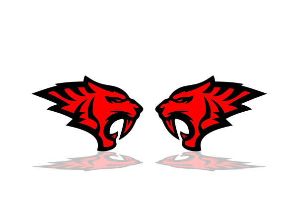 Badges for fenders with logo Hell Tiger