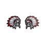 Badges for fenders with logo Indian Skull Chief
