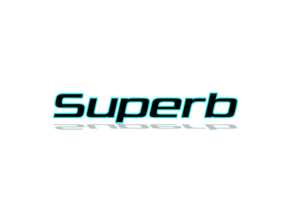 Rear Badge with logo Skoda SuperB II 2008-2015 - (MIXT design)