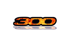 Rear badge with logo 300 - (type Fire)