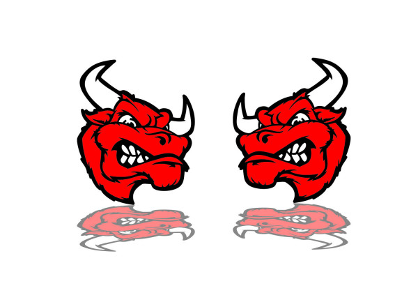 Badges for fenders with logo Bull