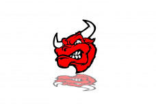 Grill badge with logo Bull