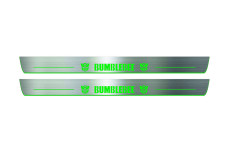 Door sills for Chevrolet Camaro V 2009-2015 with logo Bumblebee (front doors) Door sills for Chevrolet Camaro V 2009-2015 with logo Bumblebee (front doors)