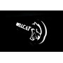 Led Badge with logo Hellcat + logo Hellcat