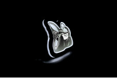 Led Badge with logo Scatpack (type 1)