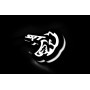 Led Badge with logo SRT Hellcat