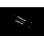 Led door sills Lexus RX II 2003-2009 type OEM (rear doors)