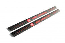 Custom plastic door sills for your car