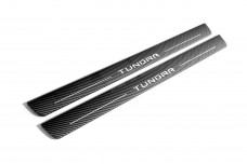 Plastic door sills for Toyota Tundra III 2014-2021 (CrewMax) - (type CARBON)