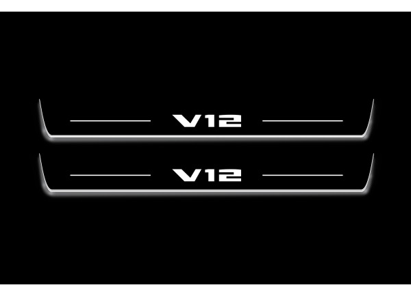 Led door sills BMW 7 G11/G12 2015-2021 with logo V12 (front doors)