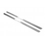 Led door sills BMW X5 E53 1999-2006 logo "BMW Individual" (front doors)