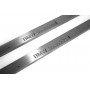 Led door sills BMW X5 E53 1999-2006 logo "BMW Individual" (front doors)