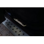 Led door sills BMW X5 E53 1999-2006 logo "BMW Individual" (rear doors)