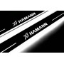 Led door sills BMW X5 E70 2006-2013 with logo HAMANN (front doors)