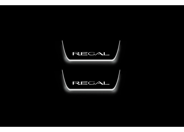 Led door sills Buick Regal VI 2017+ (rear doors) Led door sills Buick Regal VI 2017+ (rear doors)