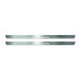 Led door sills Dodge Challenger 2008+ with logo "Jailbreak"