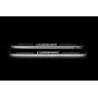 Led door sills Dodge Charger 2011+ with logo CHARGER (front doors)