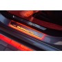 Led door sills Dodge Durango III 2011+ with logo R/T (front doors) Led door sills Dodge Durango III 2011+ with logo R/T (front doors)