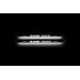 Led door sills Dodge Ram IV 2009-2018 (rear doors) Led door sills Dodge Ram IV 2009-2018 (rear doors)