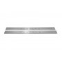 Led door sills Ford Mustang V 2005-2015 Led door sills Ford Mustang V 2005-2015
