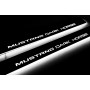 Led door sills Ford Mustang VII 2023+ with logo Mustang Dark Horse Led door sills Ford Mustang VII 2023+ with logo Mustang Dark Horse