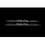 Led door sills Ford Mustang Mach-E 2020+ (front doors) Led door sills Ford Mustang Mach-E 2020+ (front doors)