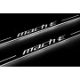 Led door sills Ford Mustang Mach-E 2020+ (front doors) Led door sills Ford Mustang Mach-E 2020+ (front doors)