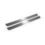 Led door sills Land Rover Discovery III 2004-2009 (front doors)