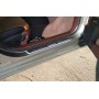 Led door sills Lexus ES VII 2018-2026 (front doors)