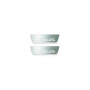 Led door sills Lexus GS III 2005-2012 (rear doors)