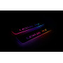 Led door sills Lexus RZ 2022+ with logo Lexus RZ (rear doors) Led door sills Lexus RZ 2022+ with logo Lexus RZ (rear doors)