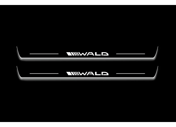 Led door sills Mercedes C W204 2007-2014 with logo Wald (front doors)