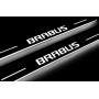 Led door sills Mercedes C W205 2014-2021 with logo Brabus (front doors)