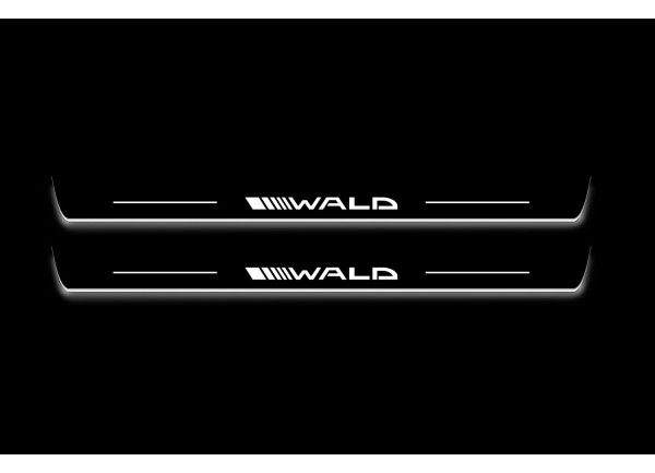 Led door sills Mercedes CLS-Class II (C218) 2010-2018 with logo Wald (front doors)