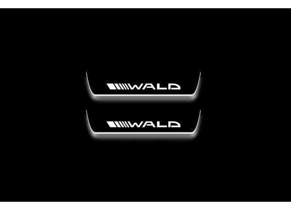 Led door sills Mercedes E W211 2002-2009 with logo Wald (rear doors)