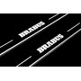 Led door sills Mercedes E W213 2016-2023 with logo Brabus (front doors) Led door sills Mercedes E W213 2016-2023 with logo Brabus (front doors)