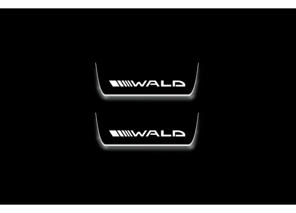 Led door sills Mercedes E W213 2016-2023 with logo Wald (rear doors)