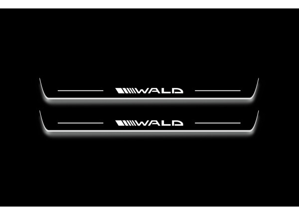 Led door sills Mercedes S-Class W222 2013-2020 with logo Wald (front doors)