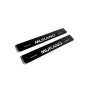 Led door sills Nissan Murano II 2008-2014 (rear doors)