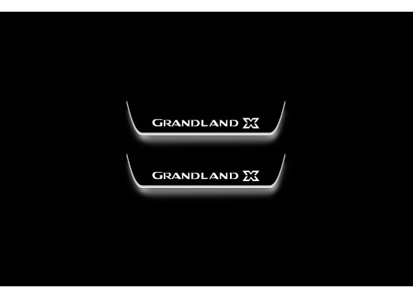 Led door sills Opel Grandland X 2017+ (rear doors)