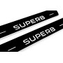 Led door sills Skoda SuperB III 2015-2023 (rear doors)