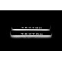 Led door sills SsangYong Rexton II 2006-2012 (rear doors)