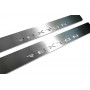 Led door sills SsangYong Rexton II 2006-2012 (rear doors)
