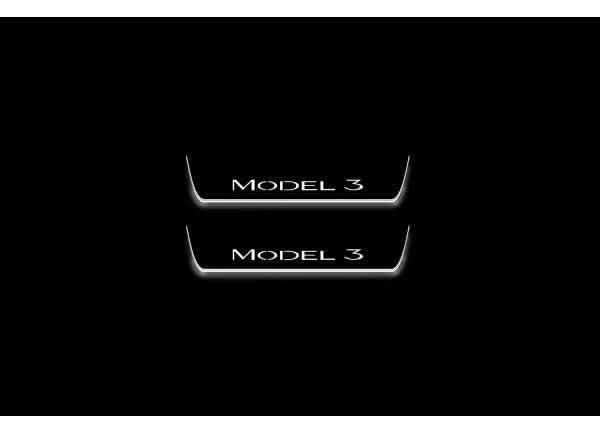 Led door sills Tesla Model 3 2017+ (rear doors)